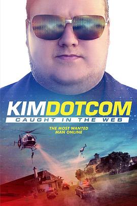 金宝：网络现形记 Kim Dotcom: Caught in the Web的海报