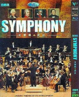 交响乐的故事 Symphony的海报