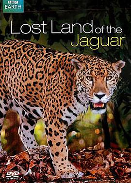 美洲豹的失落之地 Lost Land of the Jaguar的海报