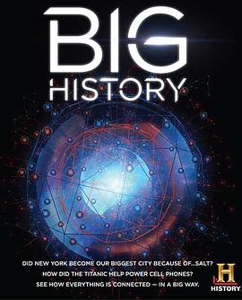 历史频道：人类大历史 第一季 Big History Season 1的海报