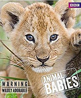 动物宝宝 Animal Babies的海报