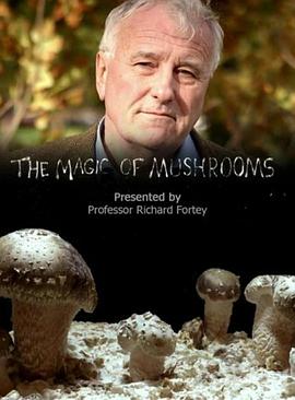 魔力蘑菇 The Magic of Mushrooms的海报