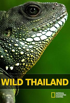 野性泰国 Wild Thailand的海报