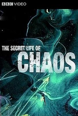 神秘的混沌理论 The Secret Life of Chaos的海报