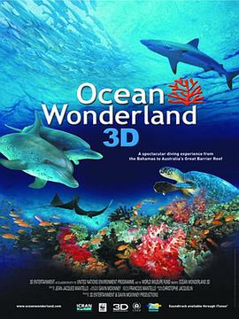 海洋仙境 Ocean Wonderland的海报