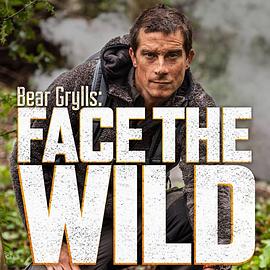 直面荒野 Bear Grylls: Face the Wild的海报