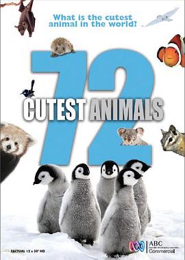 72大可爱动物 72 Cutest Animals的海报