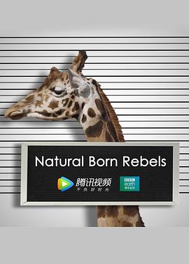 你这个坏怂 Natural Born Rebels的海报