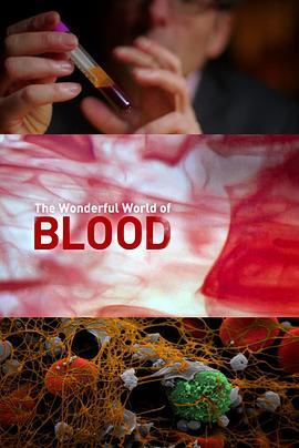 探索血液 The Wonderful World of Blood with Michael Mosley的海报
