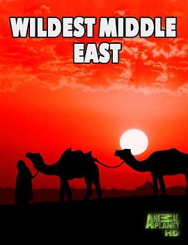 中东野生大地 Wildest Middle East的海报