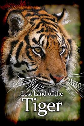 老虎失落之地 Lost Land of the Tiger的海报