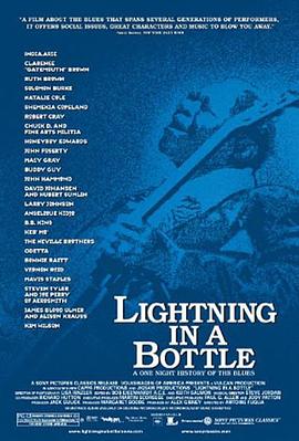 瓶中闪电 Lightning In a Bottle的海报