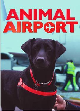 机场动物秀 Animal Airport的海报