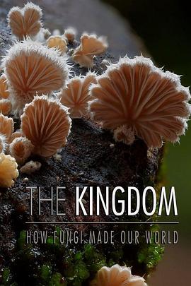 真菌王国 The Kingdom: How Fungi Made Our World的海报
