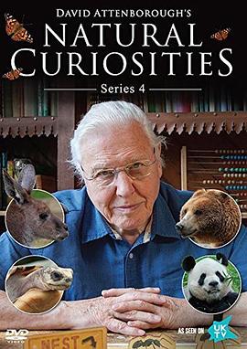 自然趣闻 第四季 David Attenborough's Natural Curiosities: Series 4 Season 4的海报