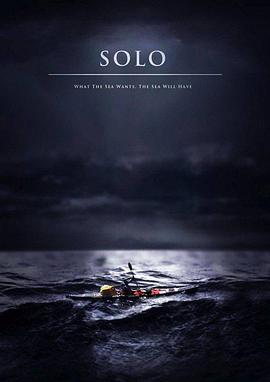 孤航 Solo的海报