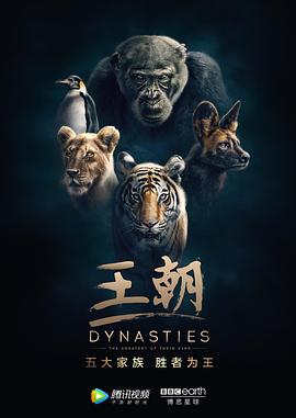 王朝 第一季 Dynasties Season 1的海报