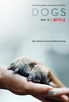 爱犬情深 第一季 Dogs Season 1的海报