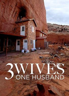 三妻一夫 Three Wives One Husband的海报