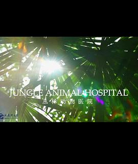 BBC自然世界 丛林动物医院 Jungle Animal Hospital的海报