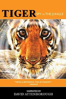虎：丛林中窥探 Tiger - Spy in the Jungle的海报
