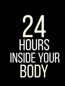 24小时人体大揭密 24 Hours Inside Your Body的海报