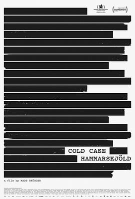 哈马舍尔德悬案 Cold Case Hammarskjöld的海报