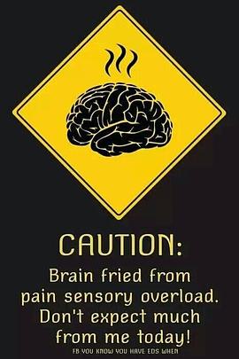 大脑超载 Brain Overload的海报
