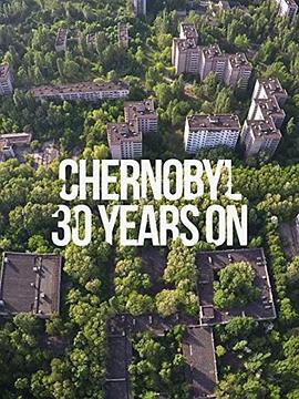 切尔诺贝利：30年后 Chernobyl: 30 Years On的海报