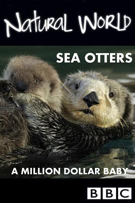 自然世界：海獭的百万宝宝 Sea Otters: A Million Dollar Baby的海报