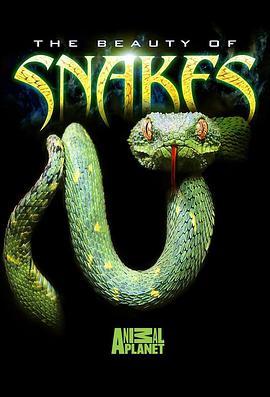蛇之惊艳奇观 THE BEAUTY OF SNAKES的海报