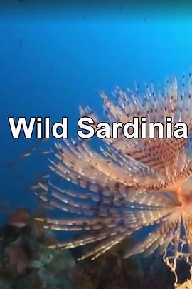 野性撒丁岛 Wild Sardinia的海报