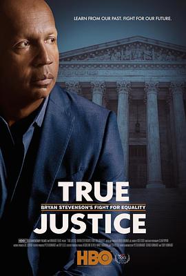 真正的正义 True Justice的海报