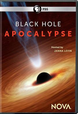 黑洞启示录 Black Hole Apocalypse的海报