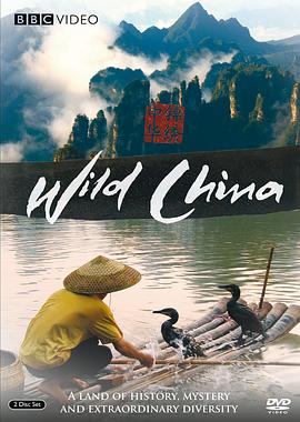 美丽中国 Wild China的海报