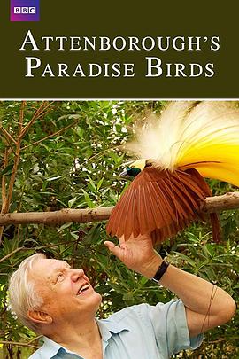 爱登堡的极乐鸟世界 Attenborough's Paradise Birds的海报