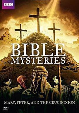 圣经解码 Bible Mysteries的海报