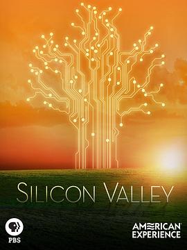 硅谷 Silicon Valley的海报