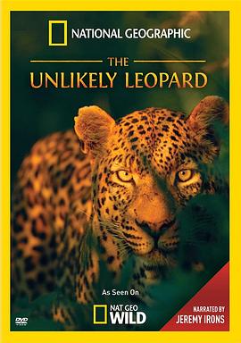 花豹传奇 The Unlikely Leopard的海报