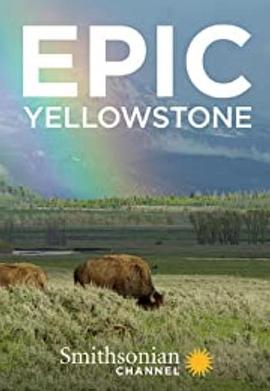 黄石公园 Epic Yellowstone的海报
