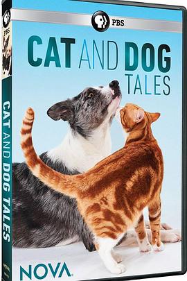 猫的故事 cat tales的海报