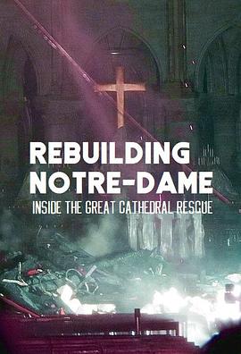 古教堂大救援：争分夺秒拯救巴黎圣母院 Rebuilding Notre Dame: Inside the Great Cathedral Rescue的海报