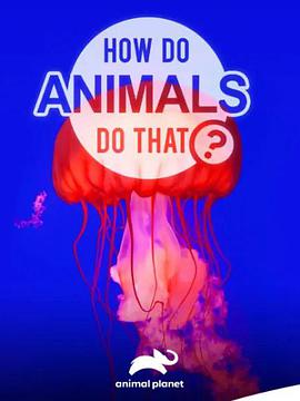 动物奇门功夫 第一季 How Do Animals Do That? Season 1的海报