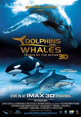 海豚和鲸鱼 3D Dolphins & Whales Tribes of the Ocean 3D的海报
