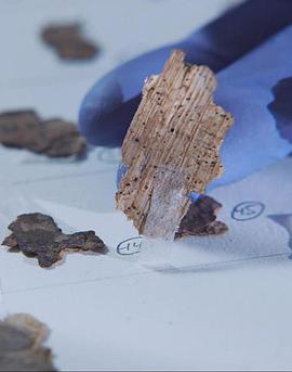 死海古卷调查 Dead Sea Scroll Detectives的海报