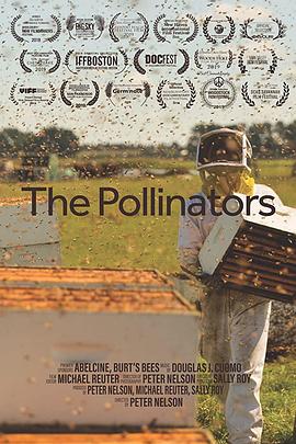传粉者 The Pollinators的海报
