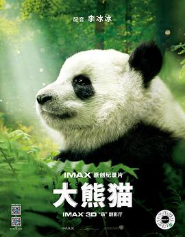 大熊猫 Pandas的海报