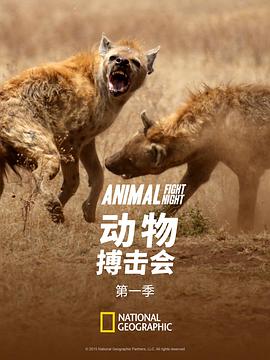 动物搏击会 第一季 Animal Fight Night Season 1的海报
