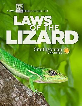 蜥蜴法则 Laws of the Lizard的海报