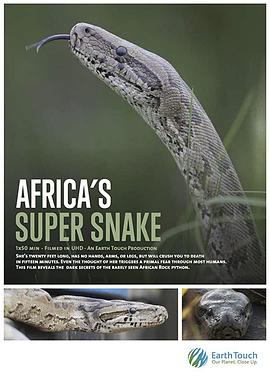 纳塔尔蟒一族 Africa's Super Snake的海报